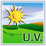 Paint protected against UV
